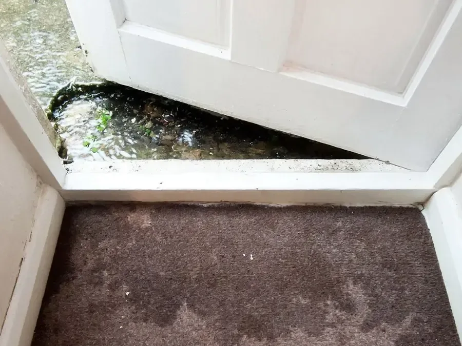 Wind-driven rain pushing under an exterior door onto wet carpet