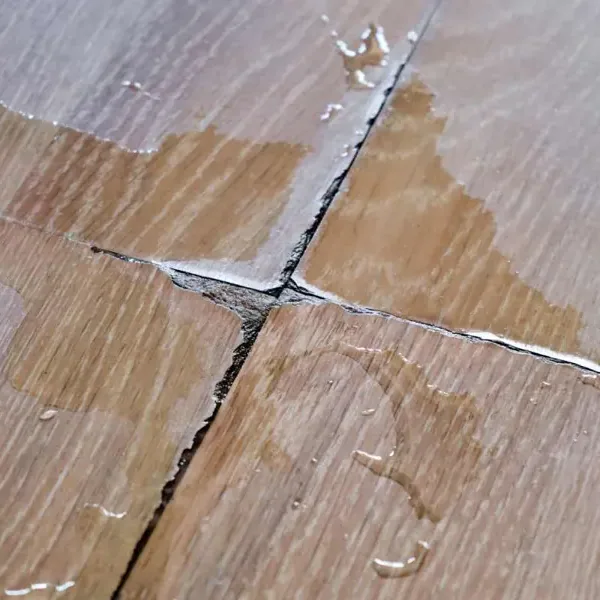 Technician mapping moisture along a basement wall after runoff entered