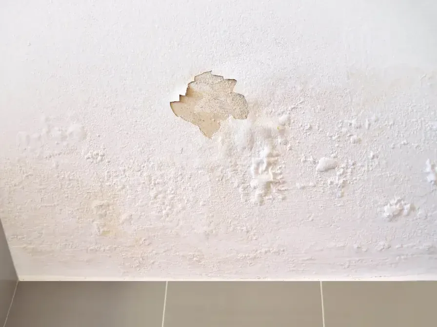 Bubbled paint and a ceiling water stain from a leak above