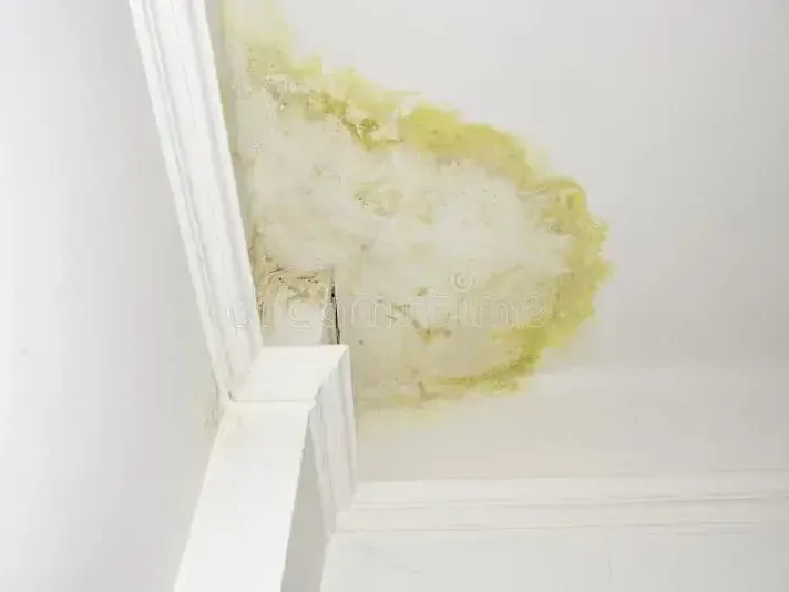 Water stain spreading where a ceiling meets an exterior wall